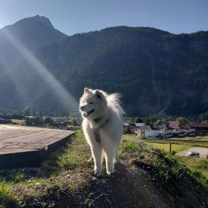 Lumi