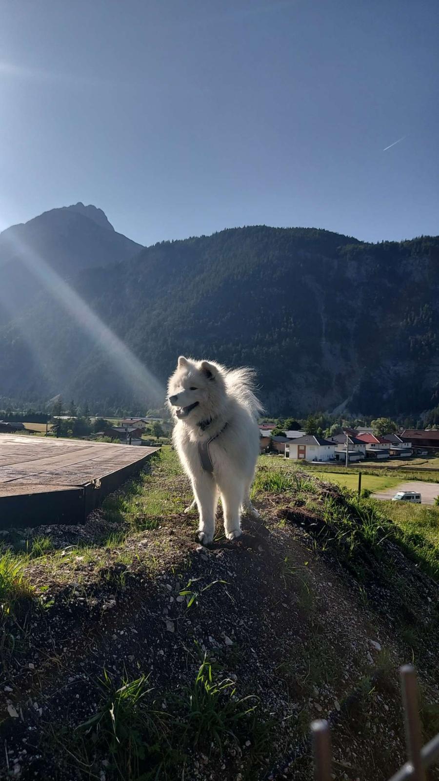 Lumi