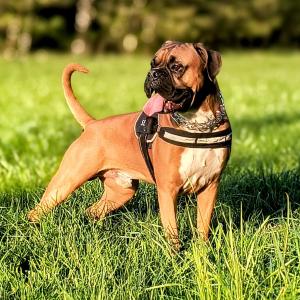 Max