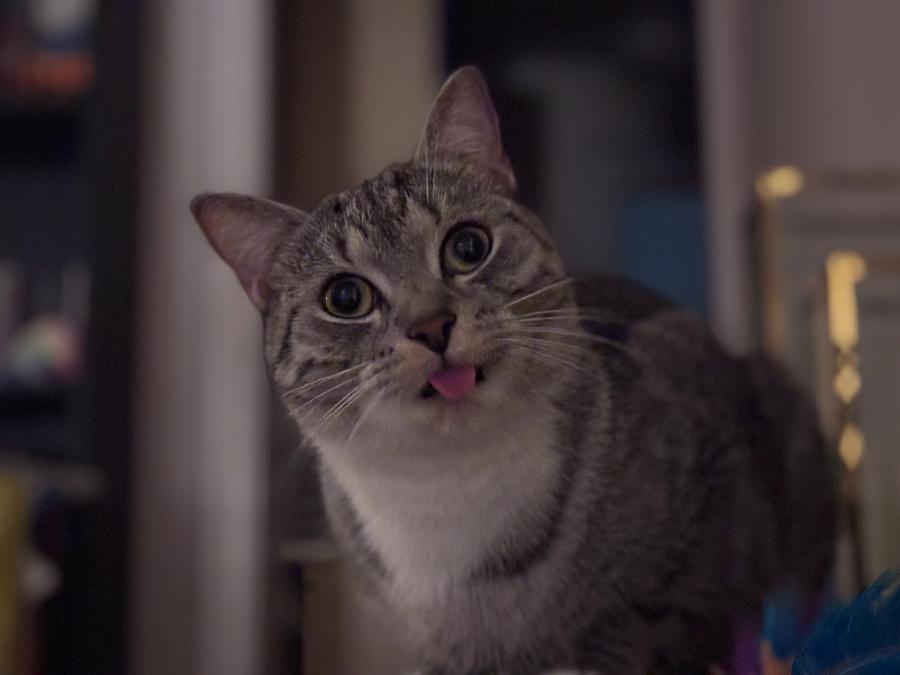 Blu