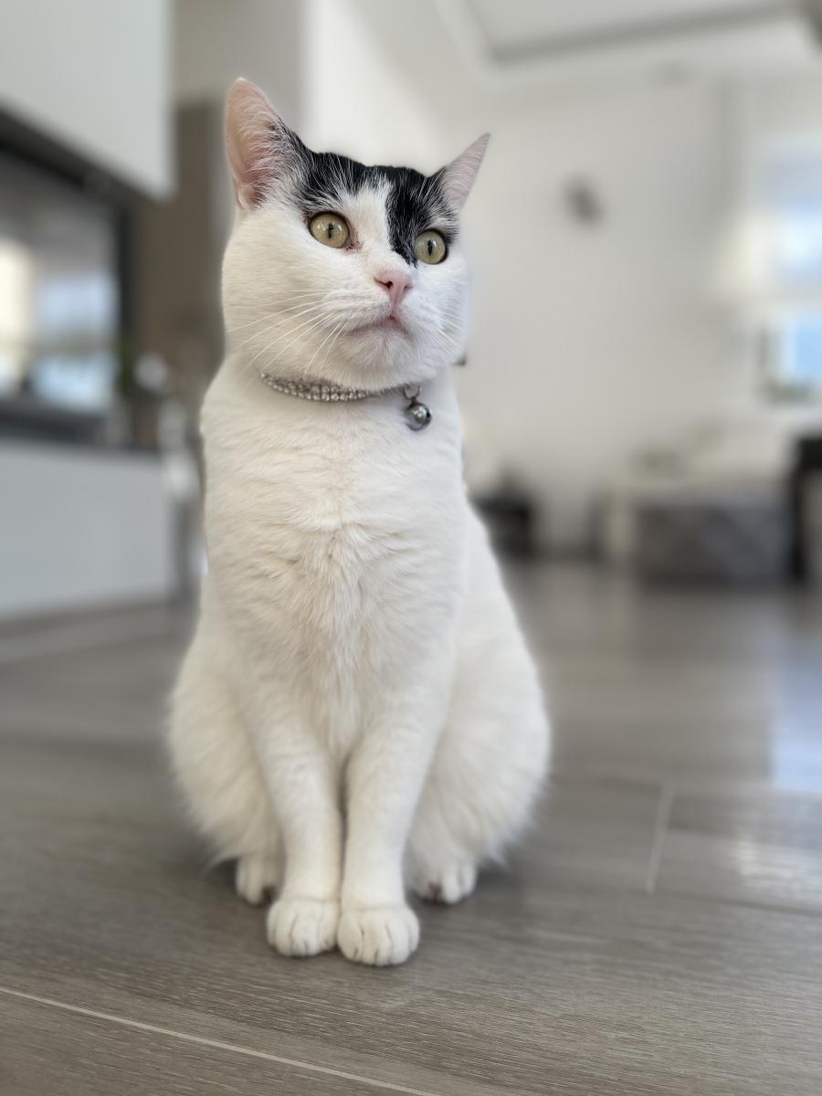 Mila