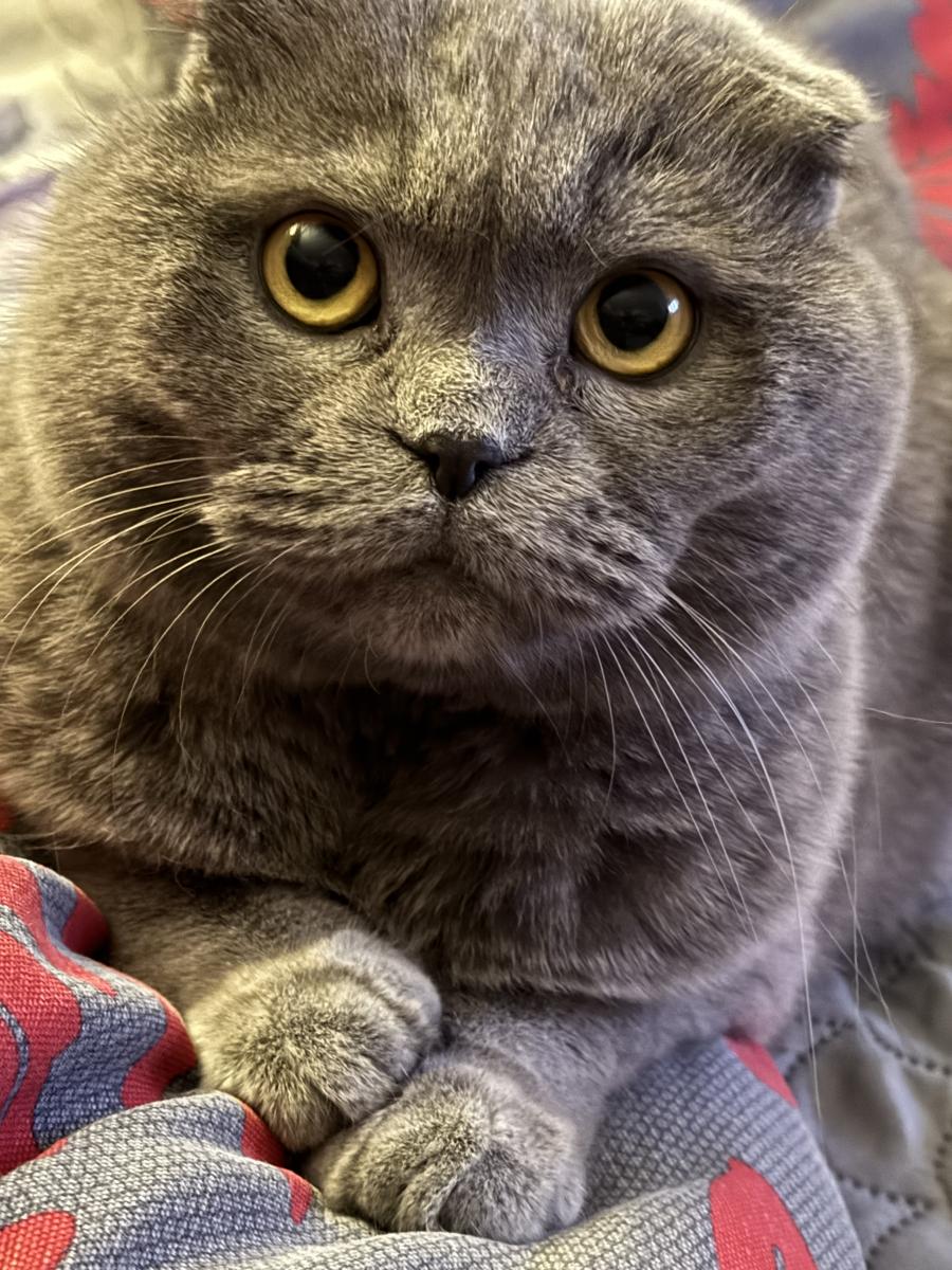 Rita
