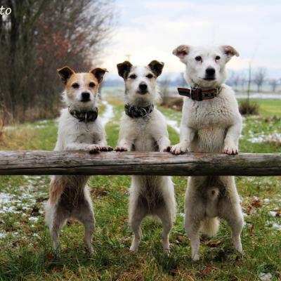 Lady&Lena & Bakuś