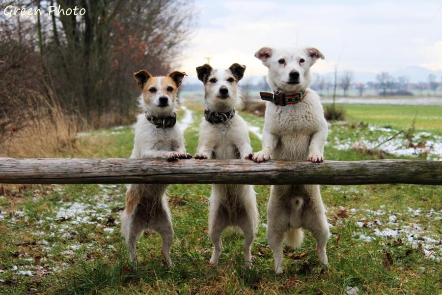 Lady&Lena & Bakuś