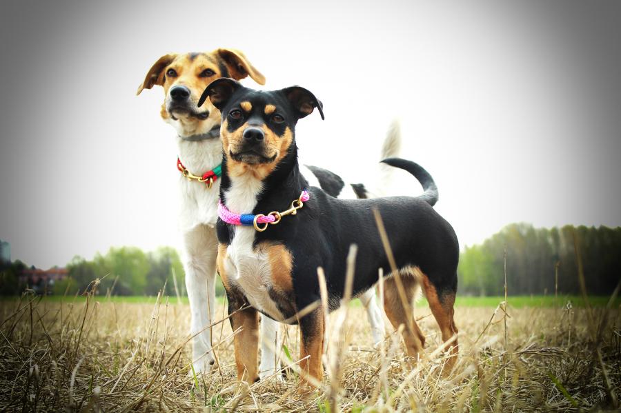 Doris i Sara