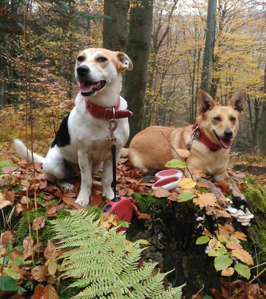 Greta i Laura