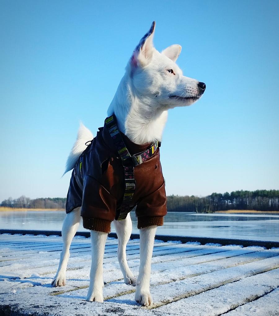 Sati
