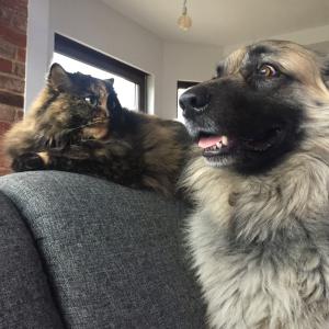 Kitka&Sparky