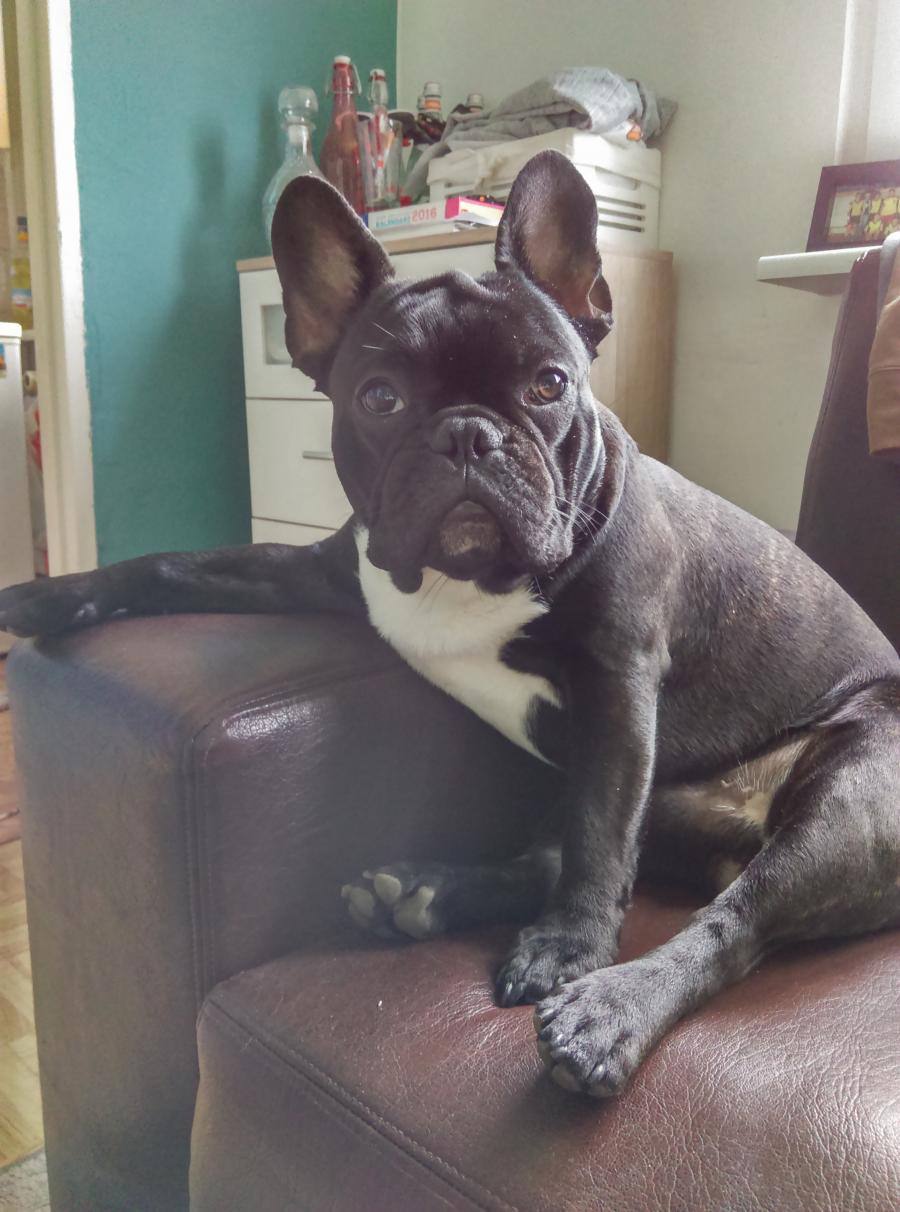 Orson