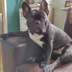 Orson