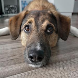 Budda