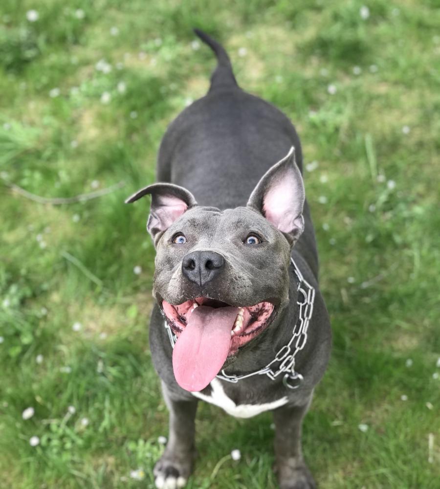 Molly