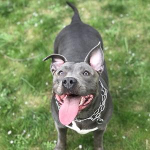 Molly