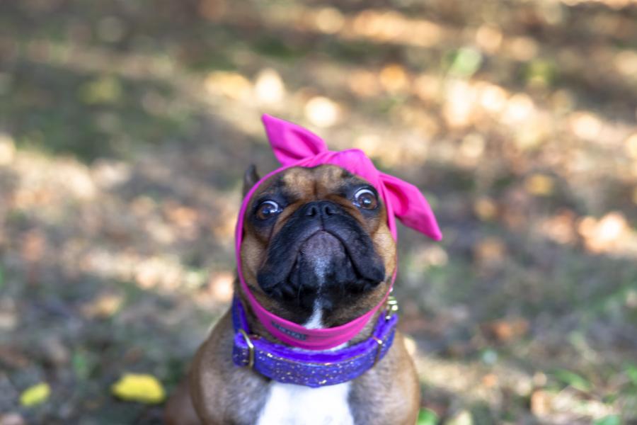 Coco