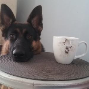 Juno