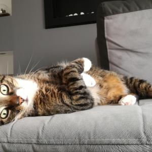 Filemon