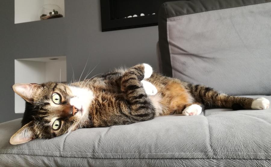 Filemon