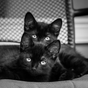 Tosia & Filip