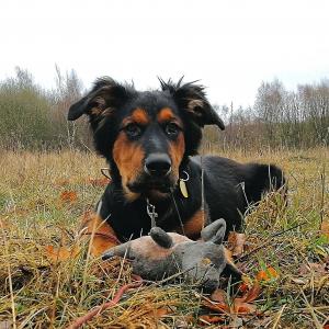 Hunter 