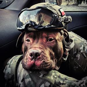 Fedor