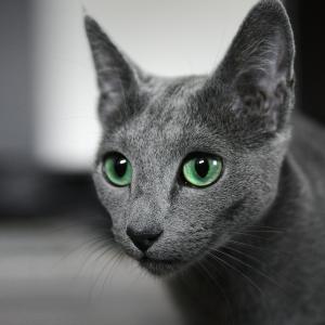 Fiona