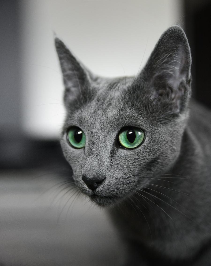 Fiona