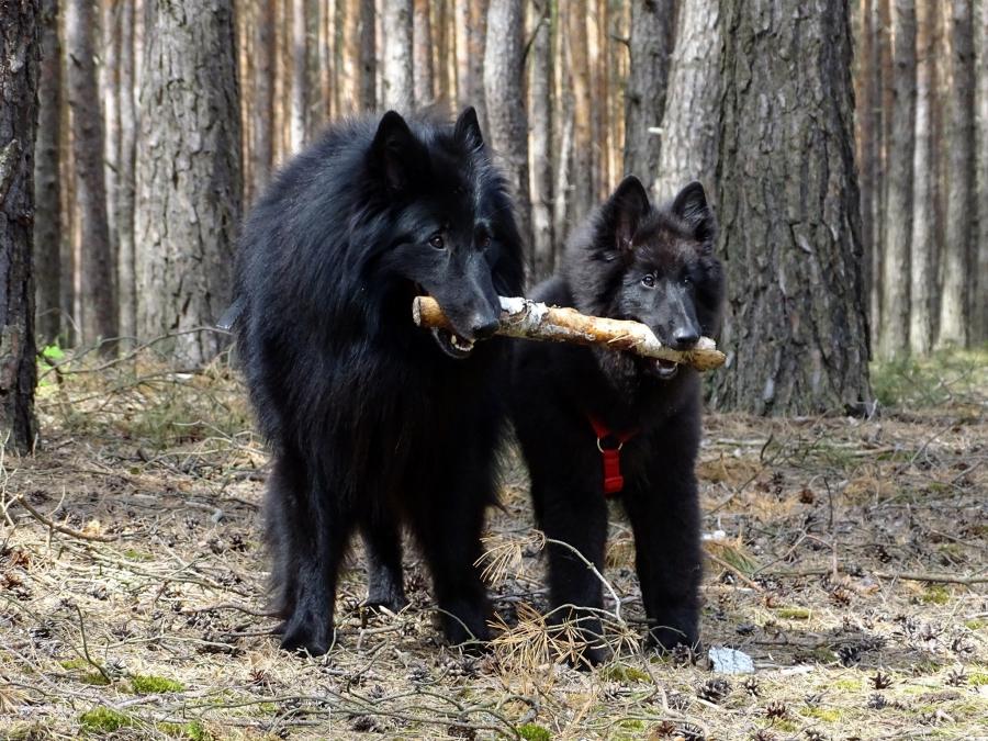 Wojtek I Julek 