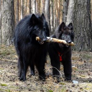 Wojtek I Julek 