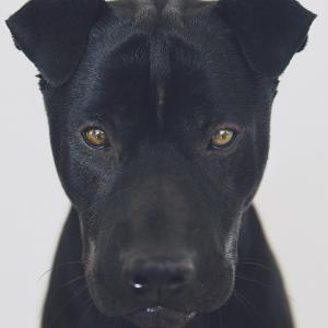 Tyson