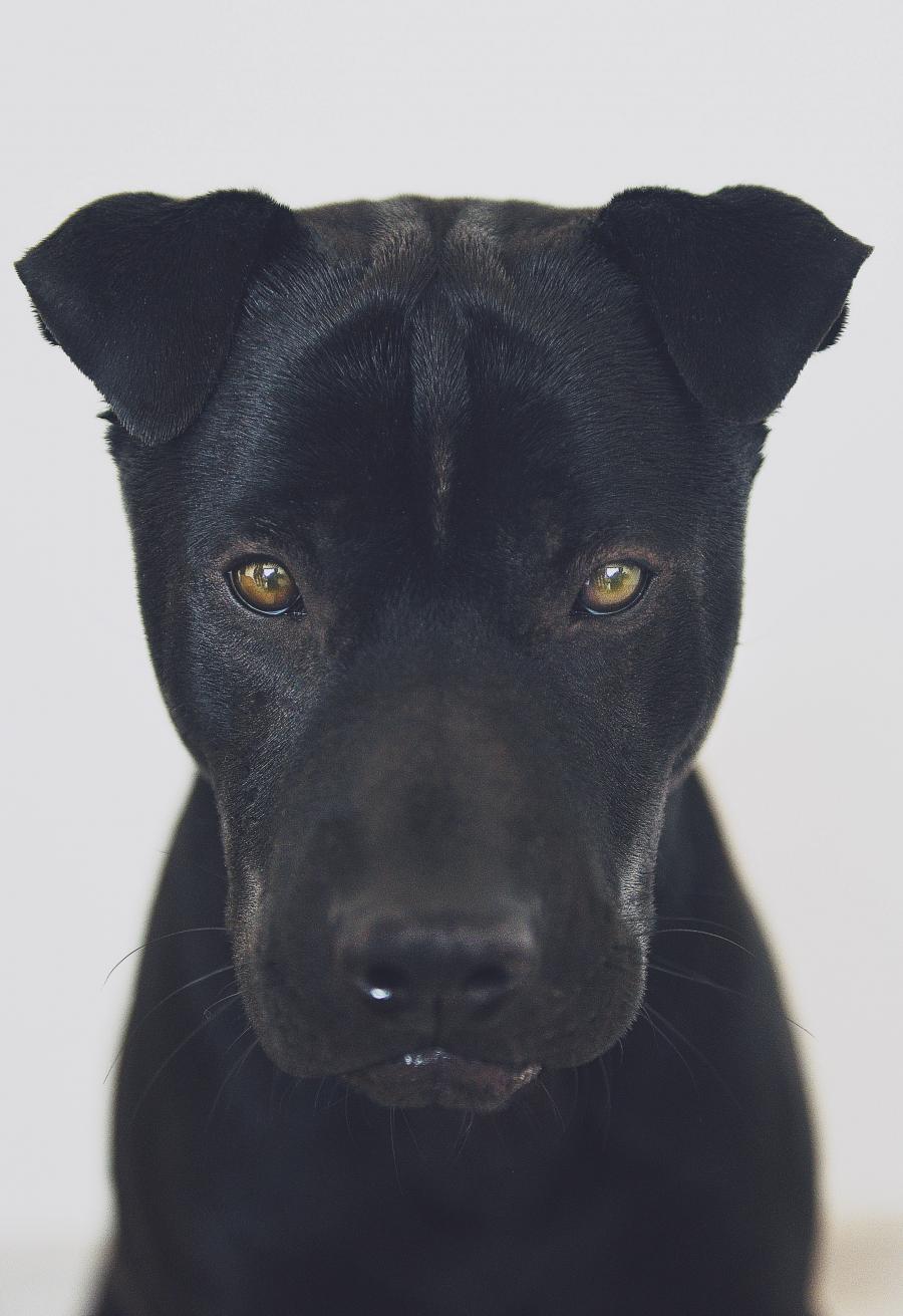 Tyson